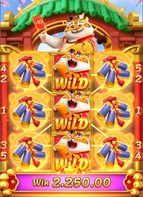 enzo casino